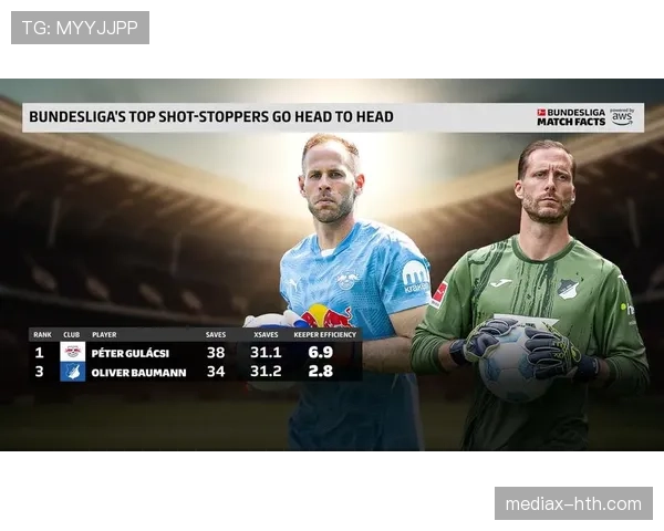 德甲夏季转会窗口：顶级球队积极引援，市场竞争力增强与表现稳健并存