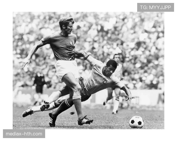 意大利卡腾纳乔战术 意大利卡腾纳乔战术