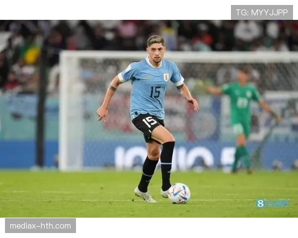 巴尔韦德是否为乌拉圭历史射手王