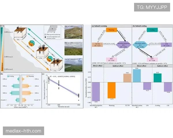 巴尔科拉技术是否粗糙？细节处理与进攻效率分析